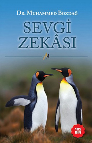 Sevgi Zekâsı