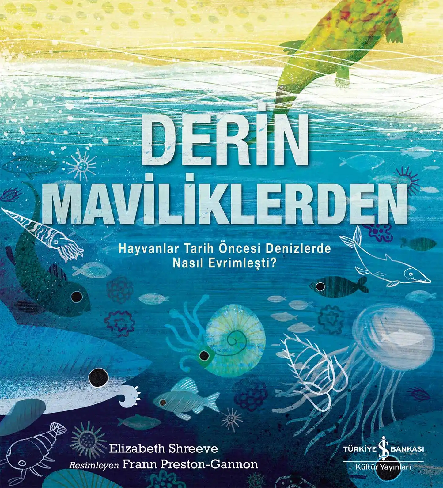 Derin Maviliklerden 