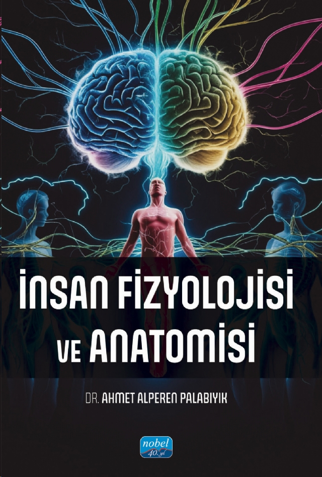 İnsan Fizyolojisi ve Anatomisi