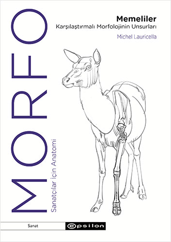 Morfo - Memeliler Karşılaştırmalı Morfolojinin Unsurları