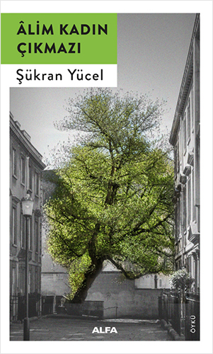 Alim Kadın Çıkmazı