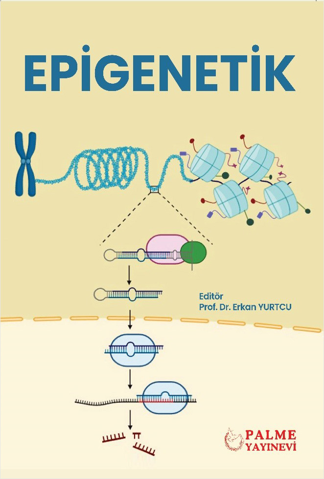 Epigenetik