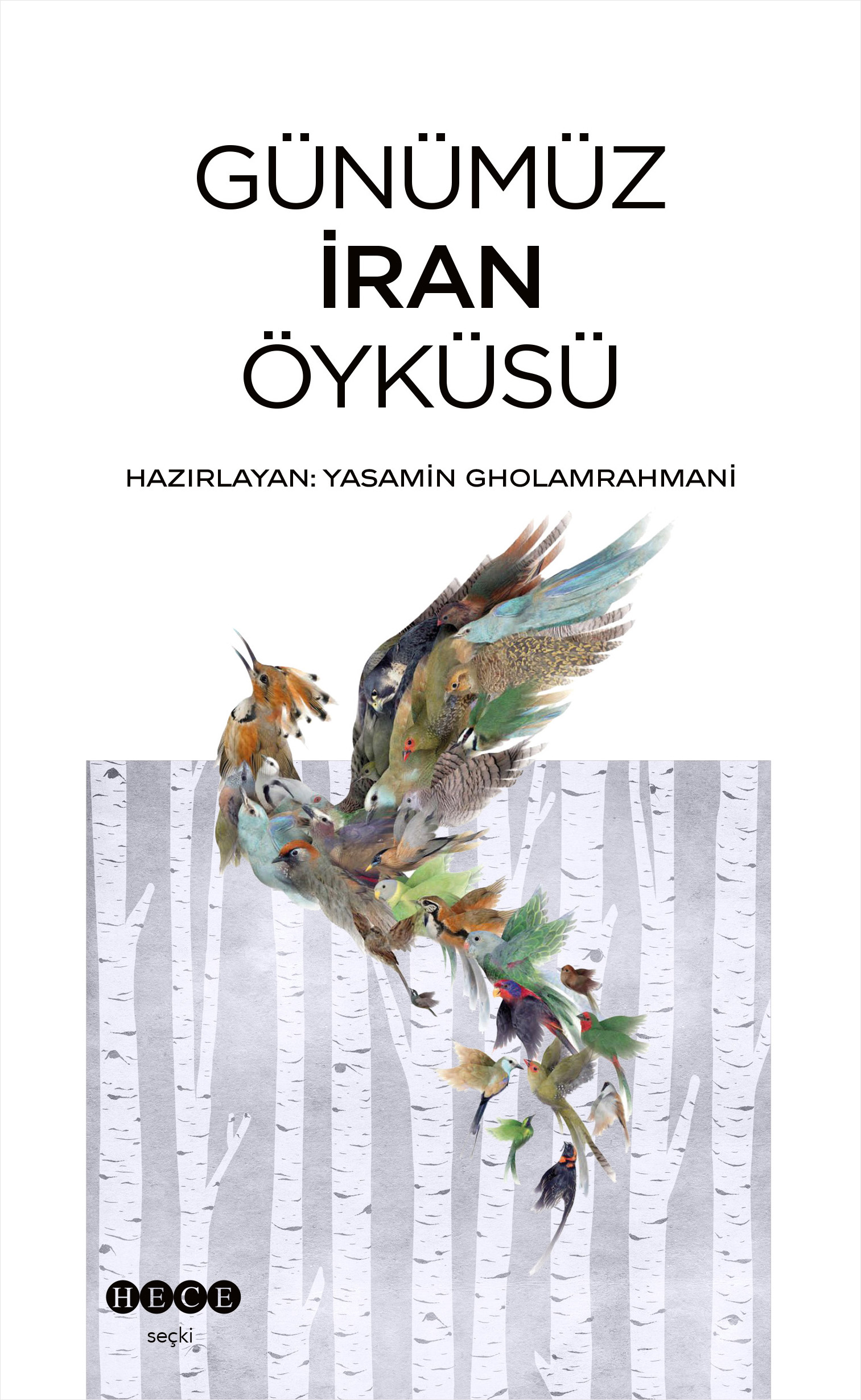 Günümüz  İran Öyküsü 