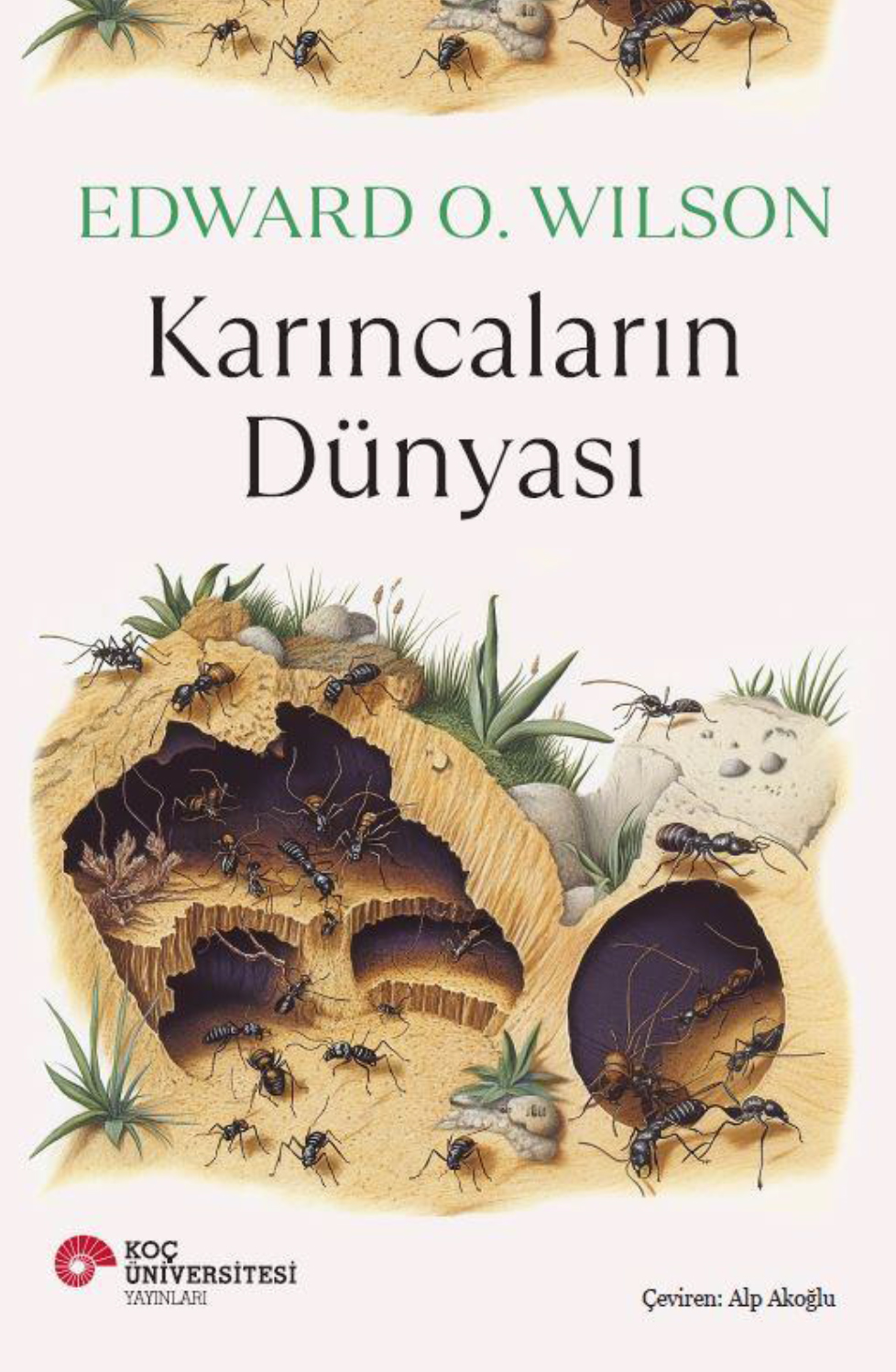 Karıncaların Dünyası