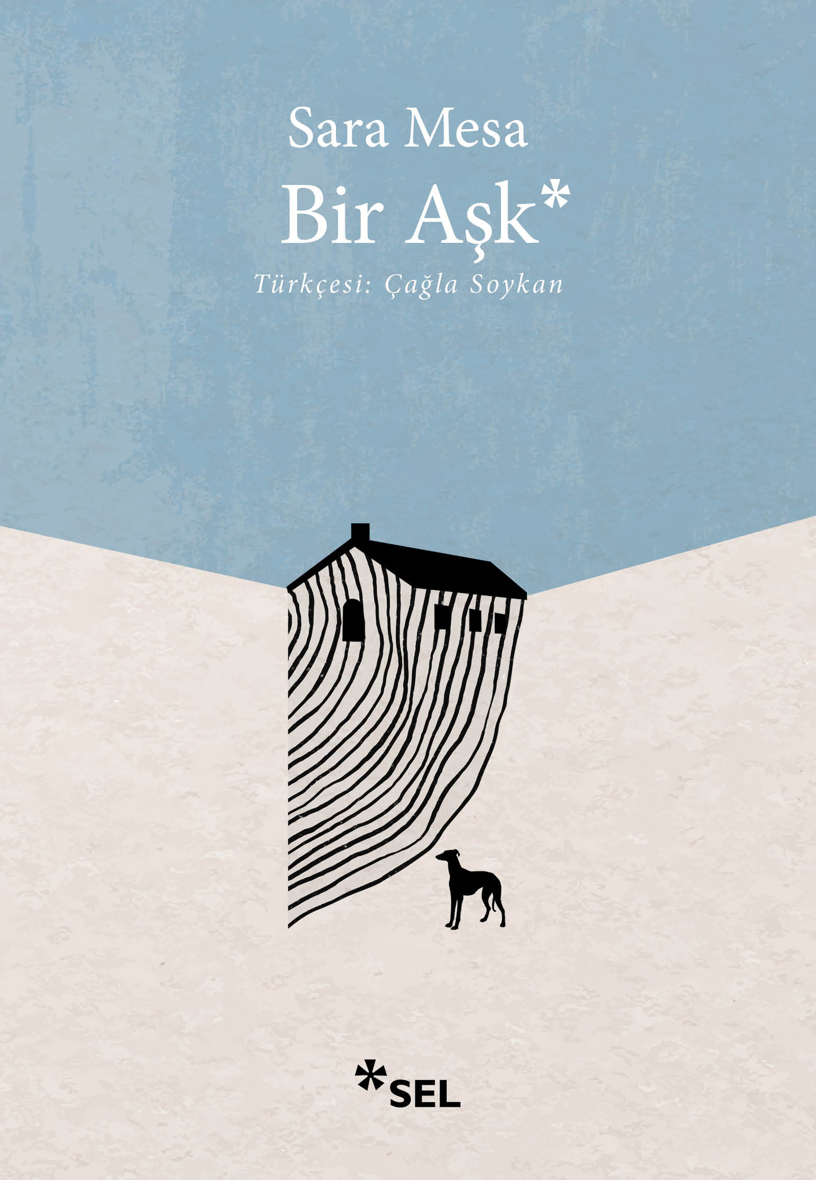 Bir Aşk