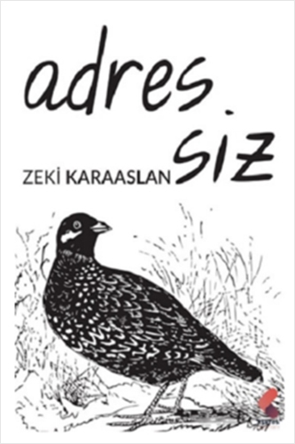 Adressiz Adressiz