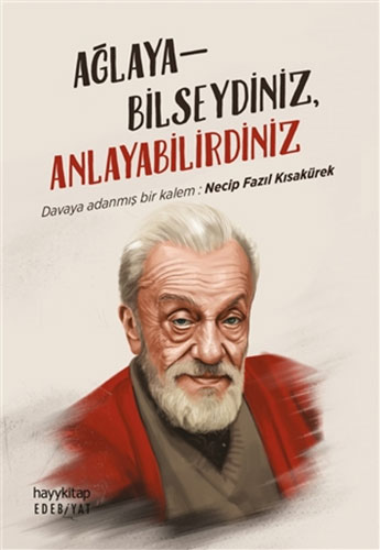 Ağlayabilseydiniz, Anlayabilirdiniz Ağlayabilseydiniz, Anlayabilirdiniz
