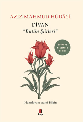 Divan - "Bütün Şiirleri"