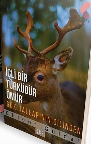 İçli Bir Türküdür Ömür İçli Bir Türküdür Ömür