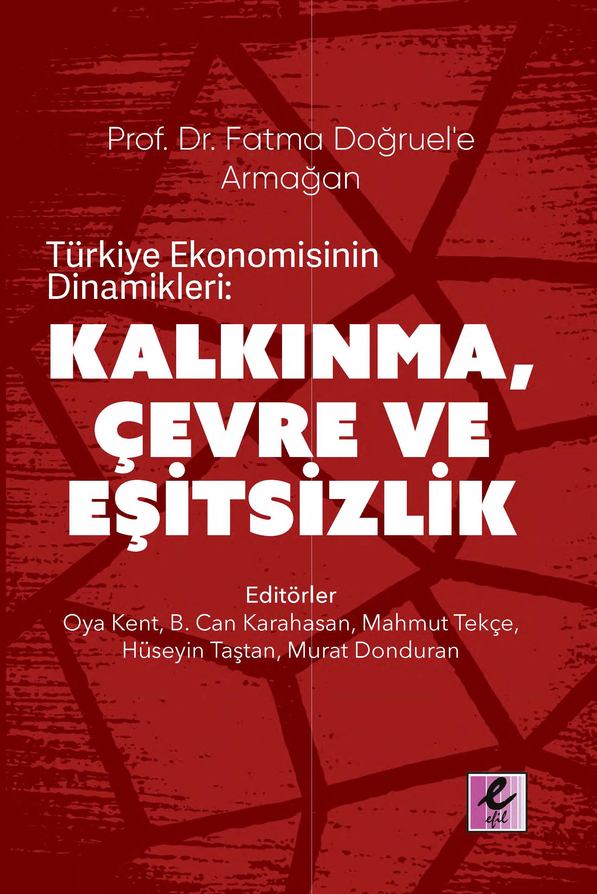 Türkiye Ekonomisinin Dinamikleri - Kalkınma, Çevre ve Eşitsizlik