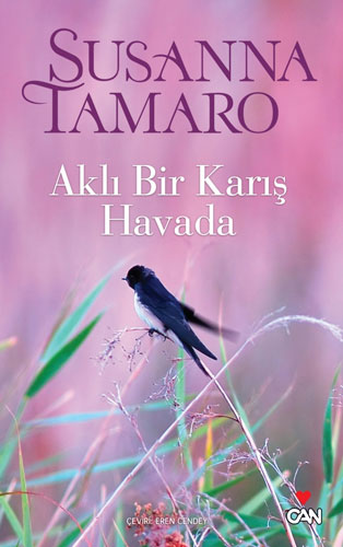 Aklı Bir Karış Havada