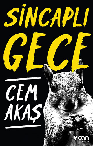 Sincaplı Gece Sincaplı Gece