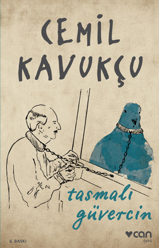 Tasmalı Güvercin Tasmalı Güvercin