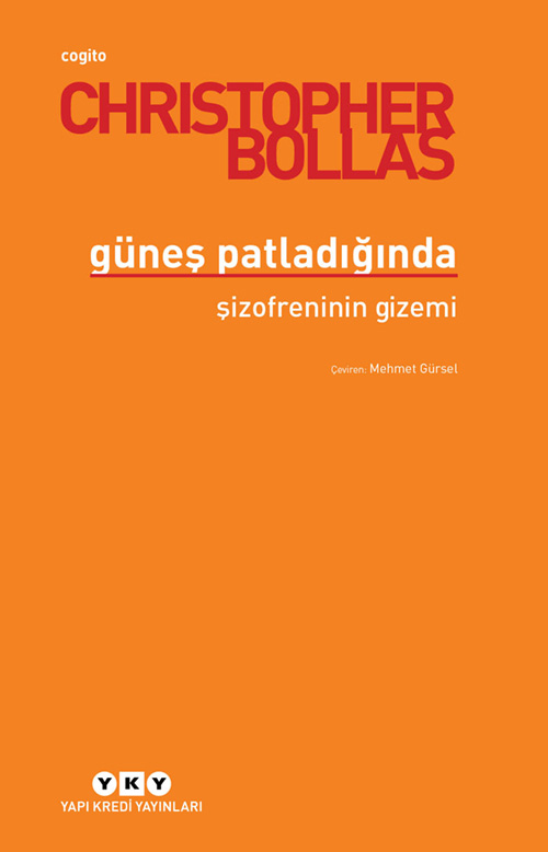 Güneş Patladığında - Şizofreninin Gizemi