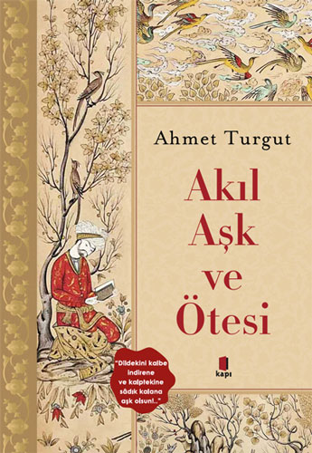 Akıl Aşk ve  Ötesi