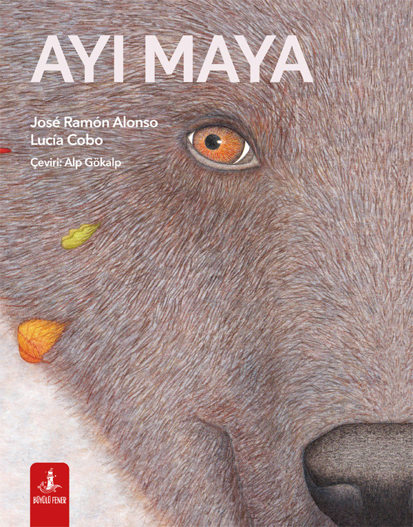 Ayı Maya