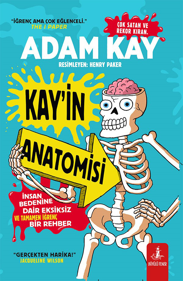 Kay’in Anatomisi