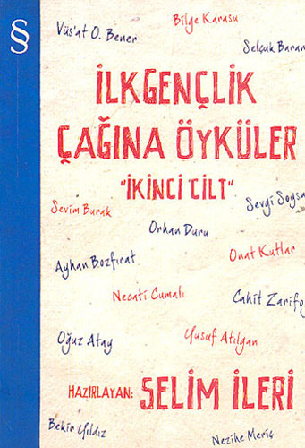 İlkgençlik Çağına Öyküler - 2