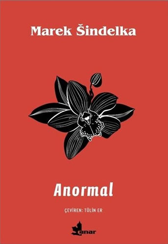 Anormal Anormal