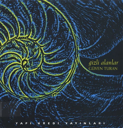 Gizli Alanlar