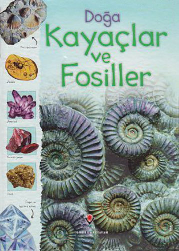 Doğa: Kayaçlar ve Fosiller