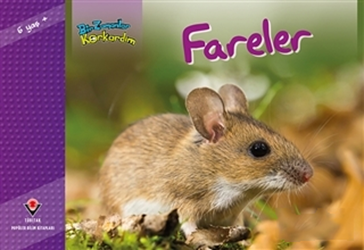 Bir Zamanlar Korkardım - Fareler