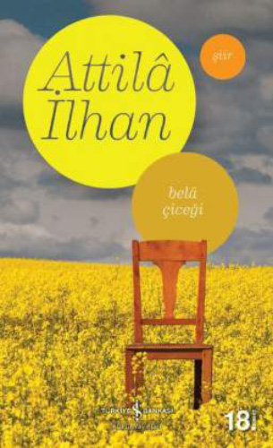 Bela Çiçeği Bela Çiçeği