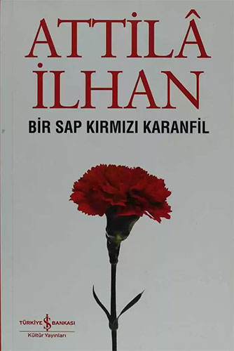 Bir Sap Kırmızı Karanfil