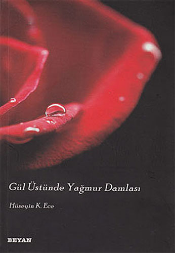 Gül Üstünde Yağmur Damlası Gül Üstünde Yağmur Damlası