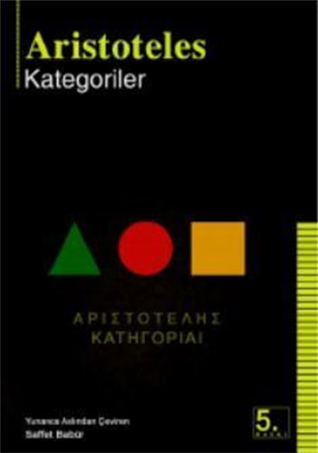 Kategoriler