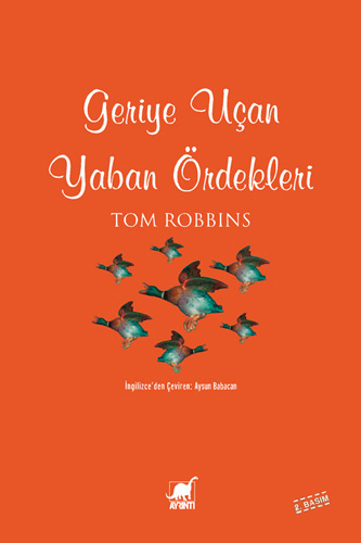 Geriye Uçan Yaban Ördekleri