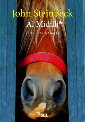 Al Midilli Al Midilli