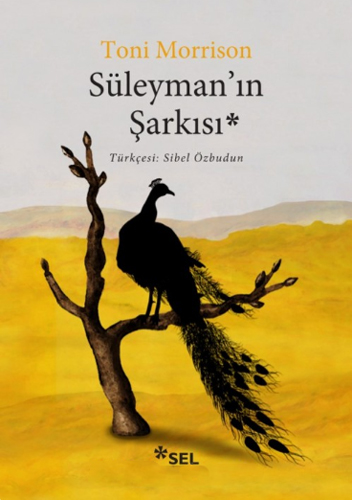 Süleyman’In Şarkısı Süleyman’In Şarkısı