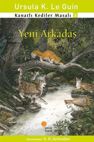 Yeni Arkadaş