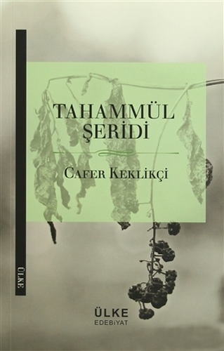 Tahammül Şeridi