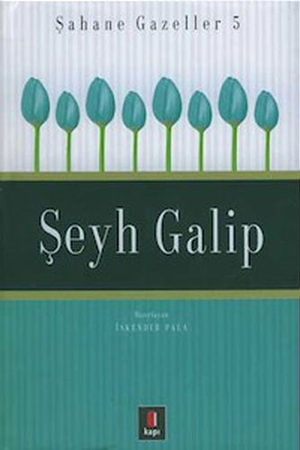 Şeyh Galip - Şahane Gazeller 5