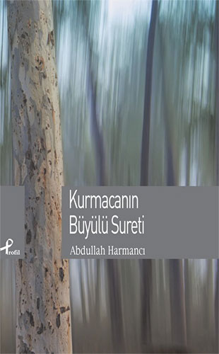 Kurmacanın Büyülü Sureti Kurmacanın Büyülü Sureti