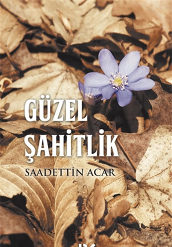 Güzel Şahitlik Güzel Şahitlik