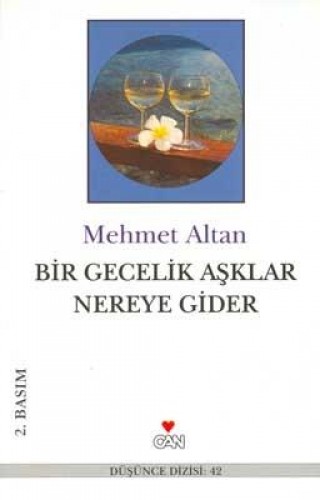 BİR GECELİK AŞKLAR NEREYE GİDER