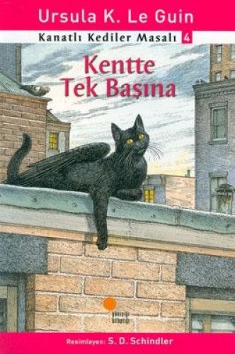 Kanatlı Kediler Masalı 4 - Kentte Tek Başına