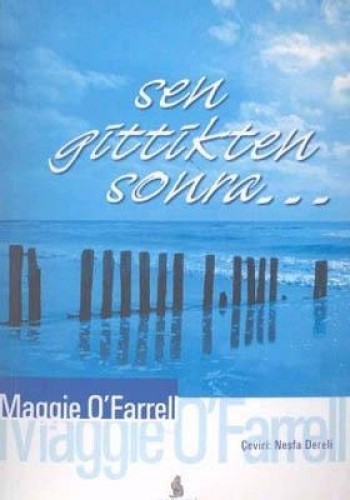 SEN GİTTİKTEN SONRA