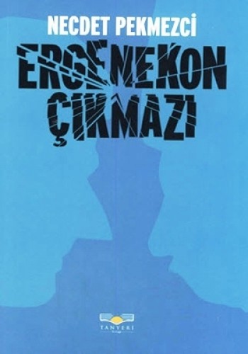ERGENEKON ÇIKMAZI