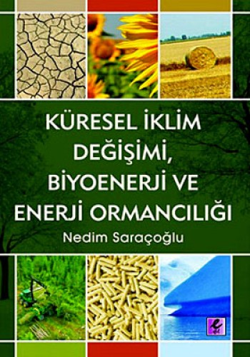 KÜRESEL İKLİM DEĞİŞMİ BİYOENERJİ VE ENERJİ O.