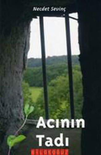 ACININ TADI