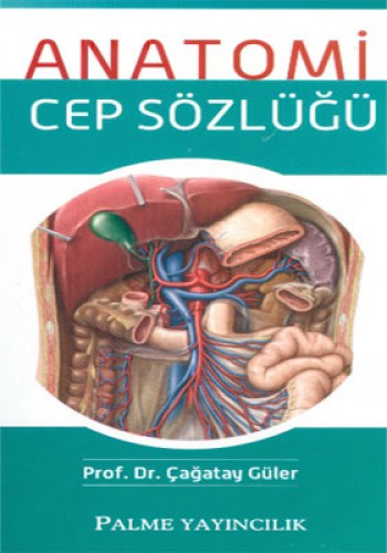 ANATOMİ CEP SÖZLÜĞÜ